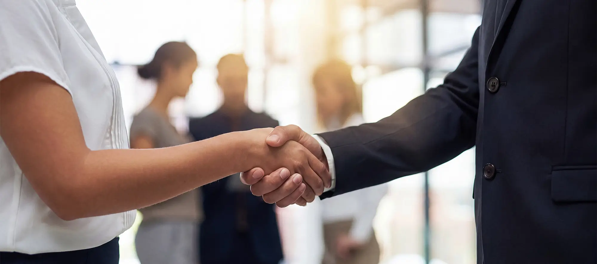 Two business people shaking hands.