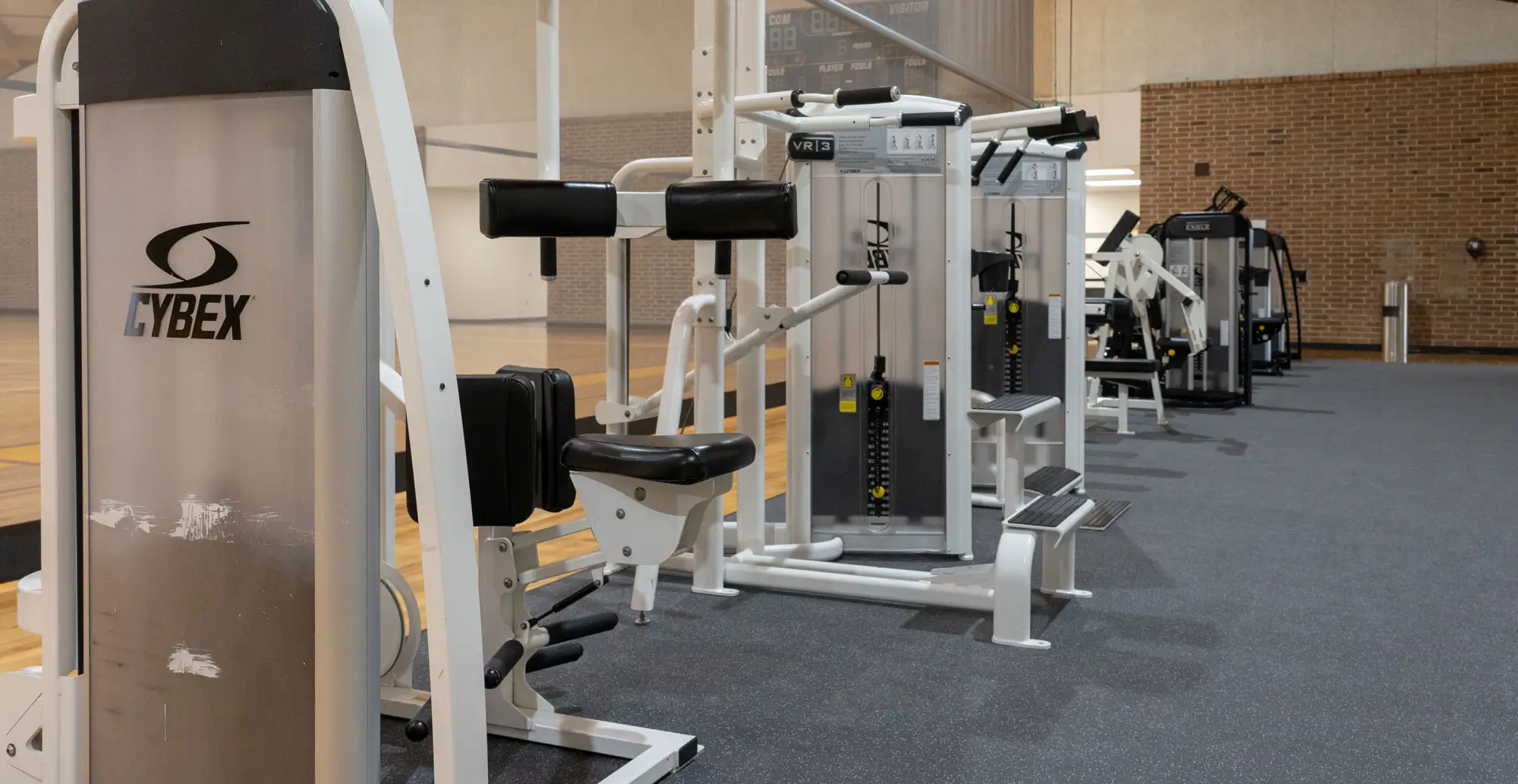 Cybex Pinselector (Eagle & VR3)
