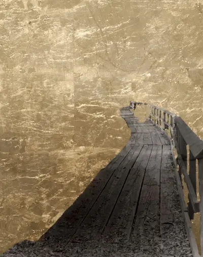 Silver Gelatin Print with gold leaf