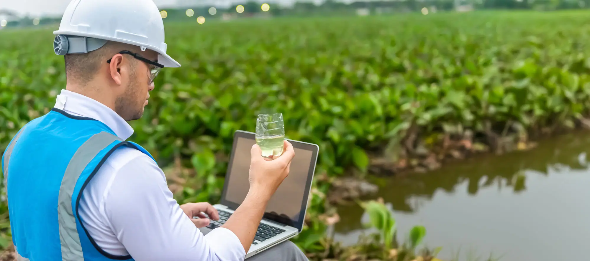 Biologist checking the quality of water sample at lake.